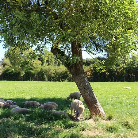 בית נופש Charme Du Xviie Avec Grand Terrain Clos, Dependances Restaurees, Jardin, Garage Ferme Et Equipements Divers - Fr-1-410-157