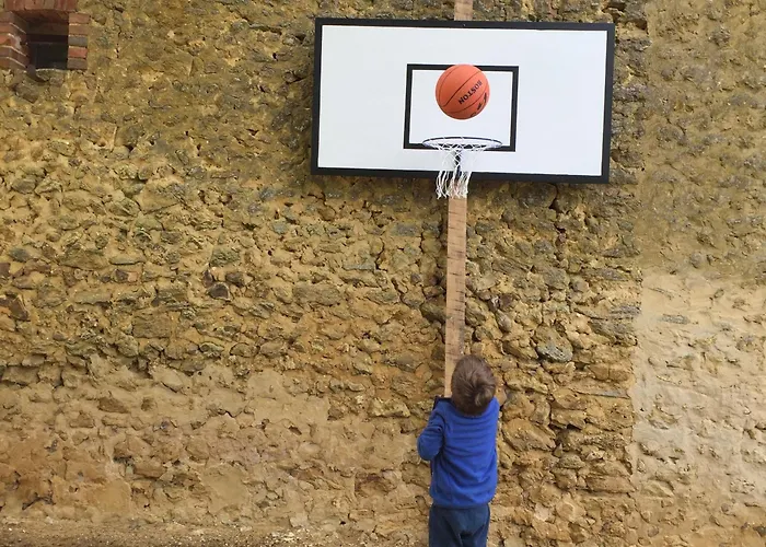Charme Du Xviie Avec Grand Terrain Clos, Dépendances Restaurées, Jardin, Garage Fermé Et équipements Divers - Fr-1-410-157