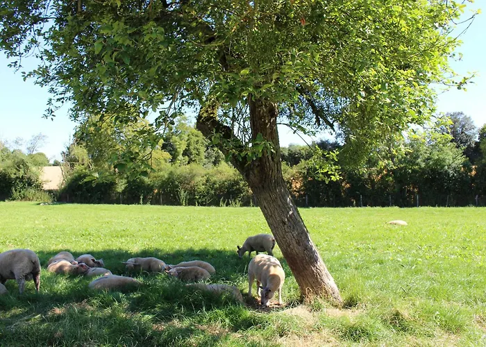 Сasa de vacaciones Charme Du Xviie Avec Grand Terrain Clos, Dépendances Restaurées, Jardin, Garage Fermé Et équipements Divers - Fr-1-410-157